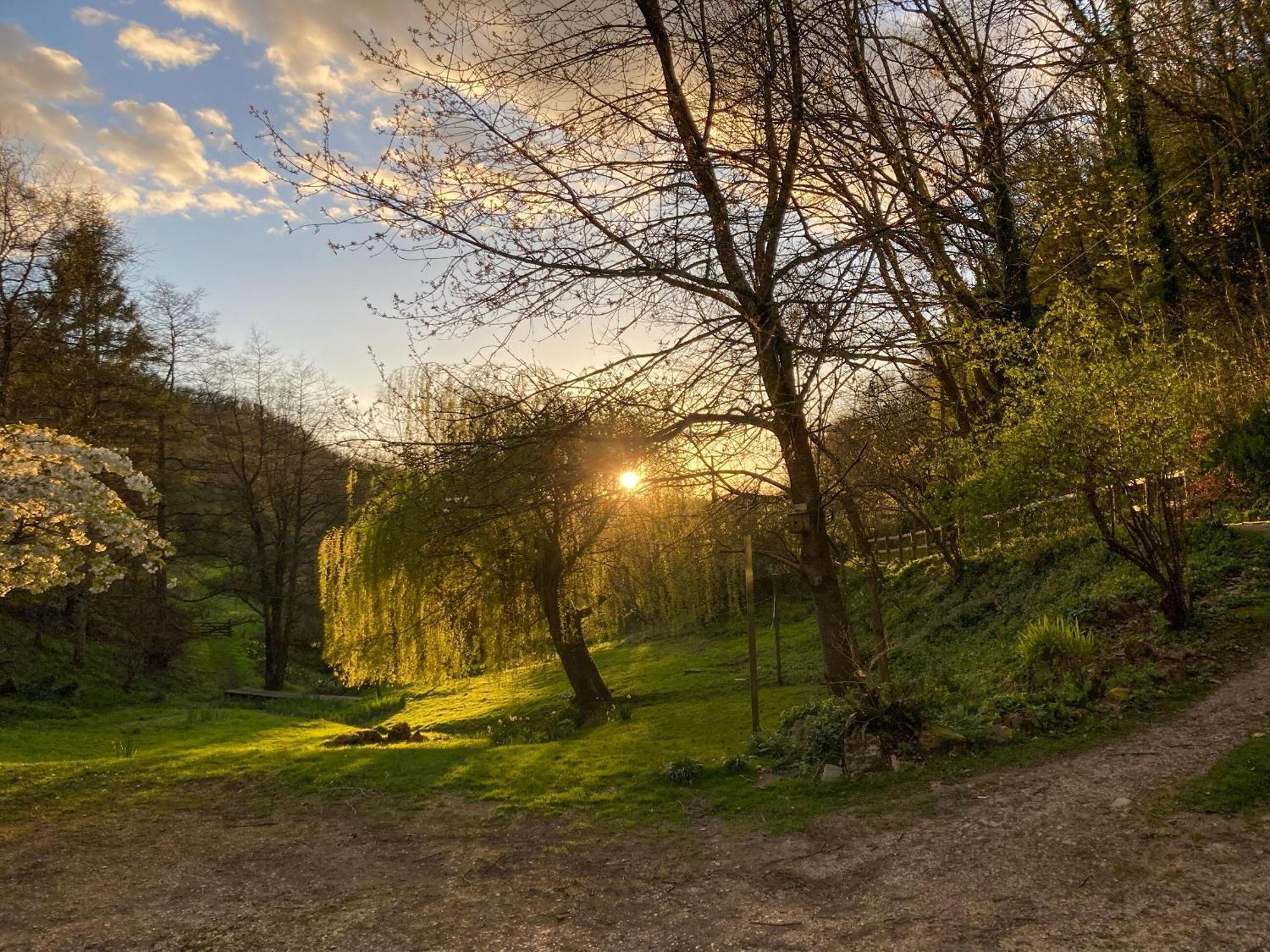 Driftcombe Farmhouse Bisley  المظهر الخارجي الصورة